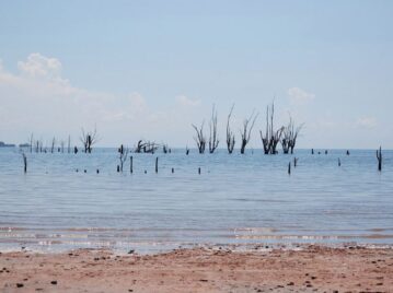 lago-salado