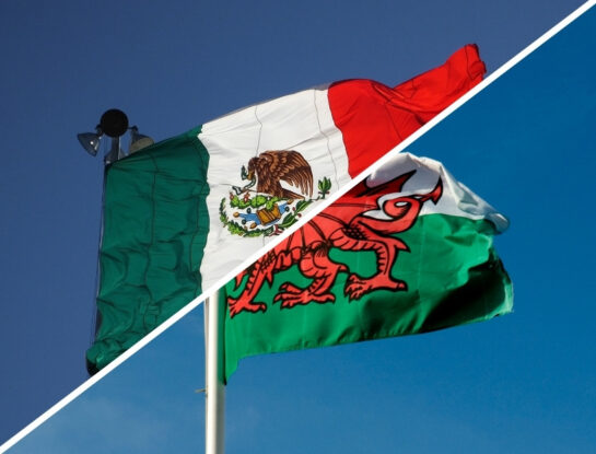 ¿Cuáles son los únicos seis países que tienen su bandera verde, roja y blanca?