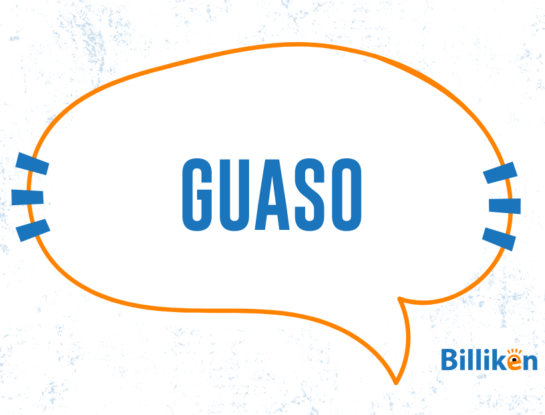 ¿Cuál es el origen y el significado de la palabra guaso?