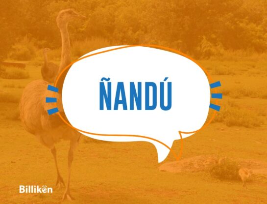 ¿Cuál es el verdadero significado de la palabra "ñandú"?