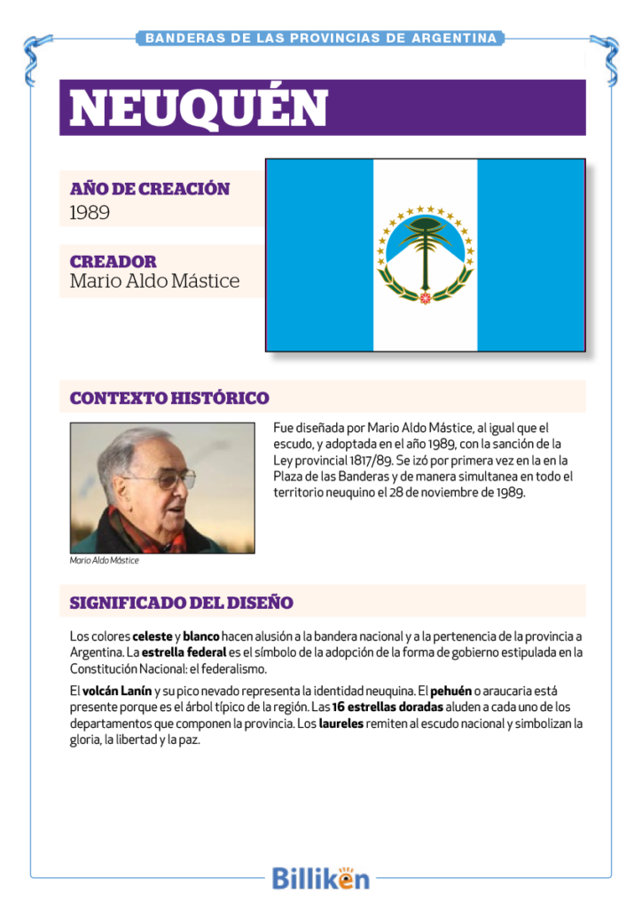 Bandera de Neuquén: historia, origen y significado - Infografía