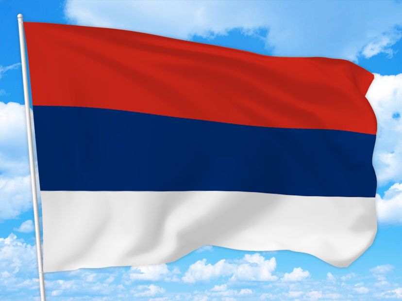Bandera de Misiones: historia, origen y significado
