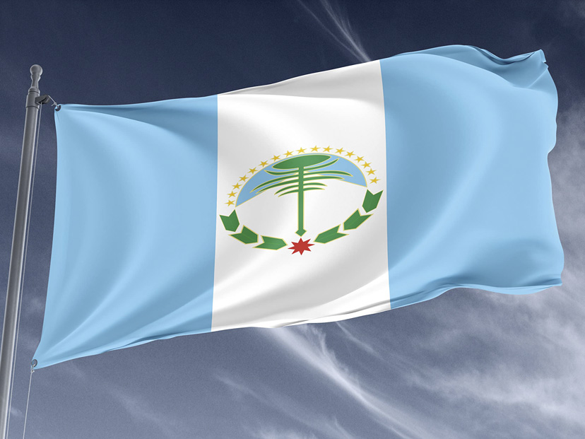 Bandera de Neuquén: historia, origen y significado