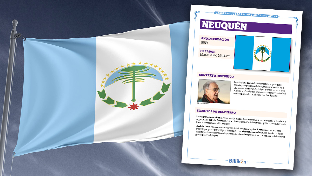 Bandera de Neuquén: historia, origen y significado - Infografía