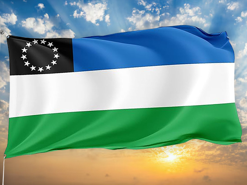 Bandera de Río Negro: historia, origen y significado Infografía ST