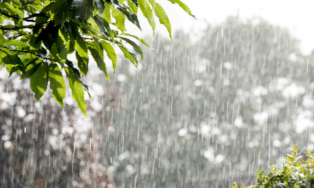 cómo se forma la lluvia