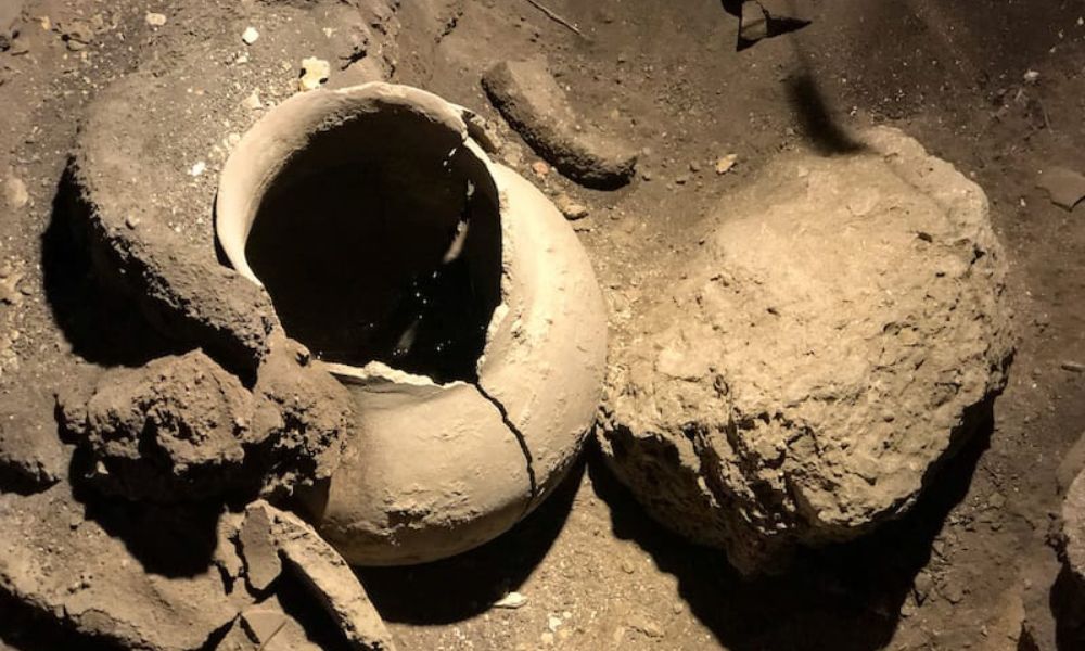 Elementos de la bodega más antigua del mundo.