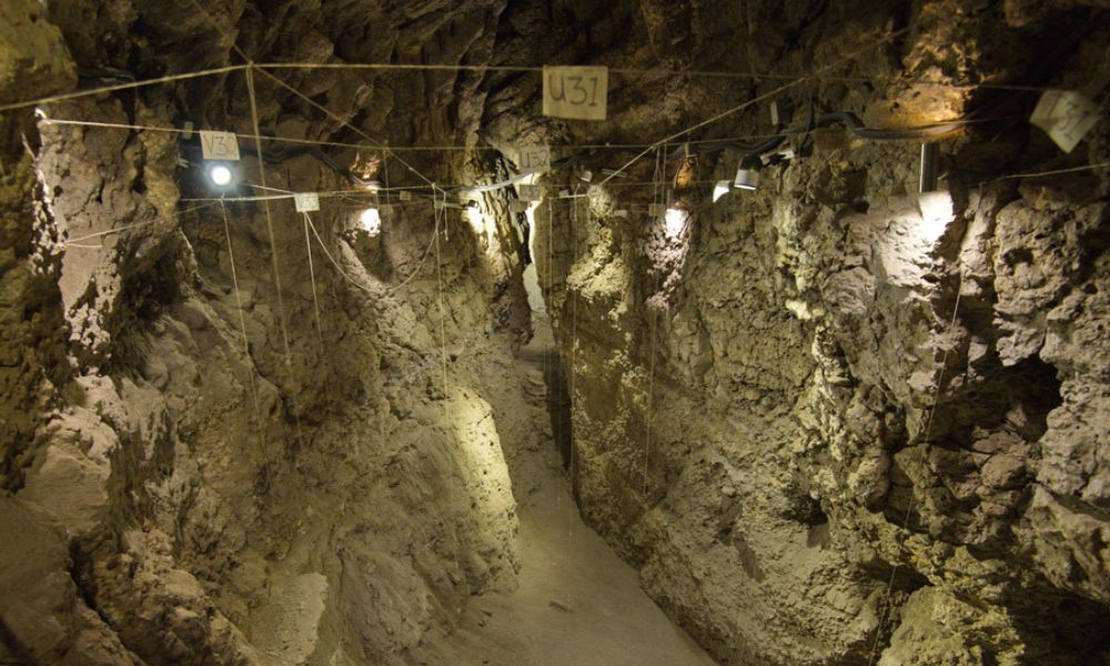 Aspecto de la bodega más antigua del mundo.