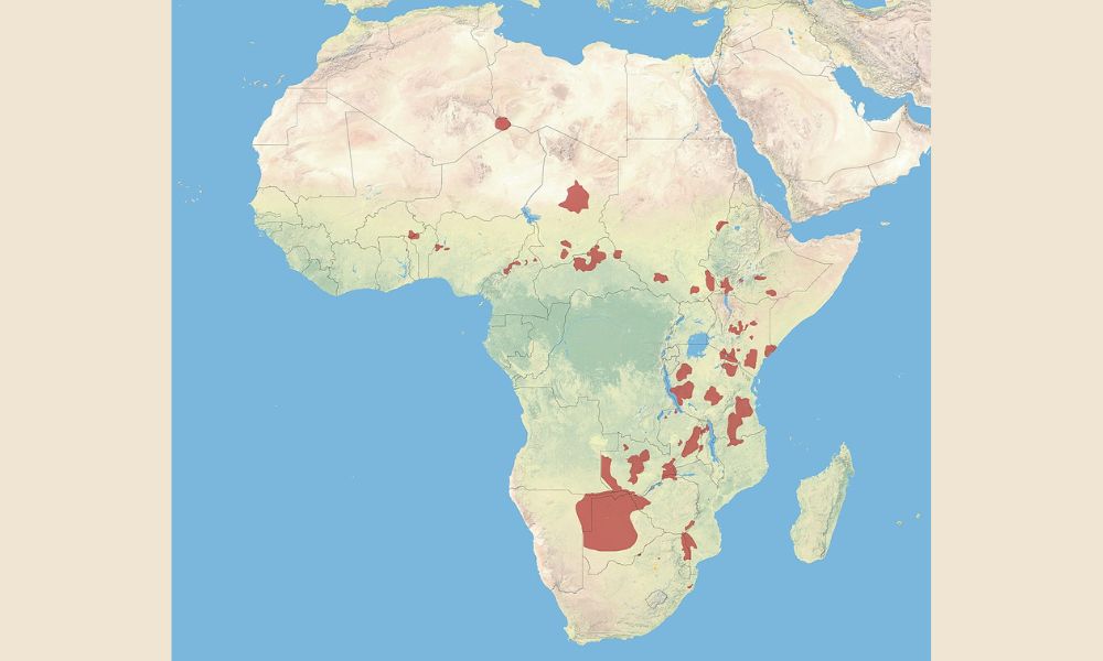 En rojo, la zona donde habita el perro salvaje africano.