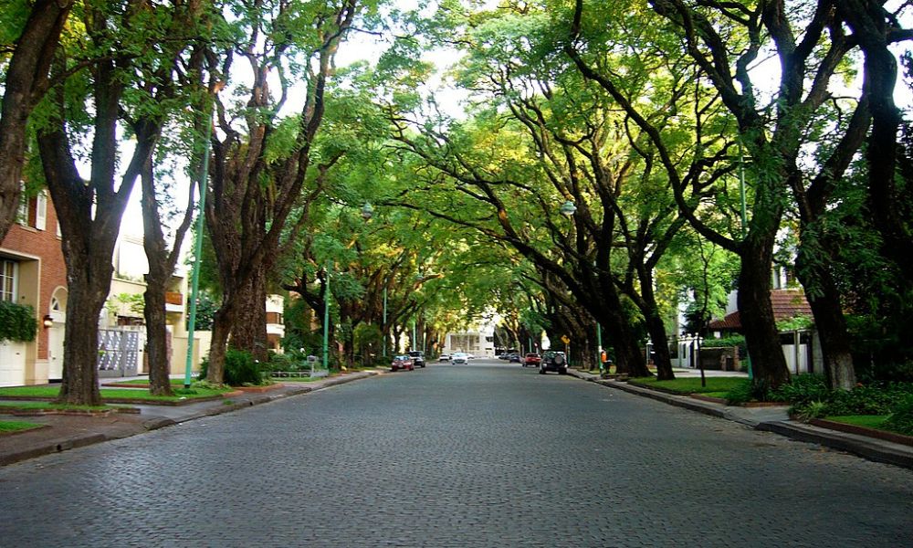 Aspecto de la Avenida Melián.