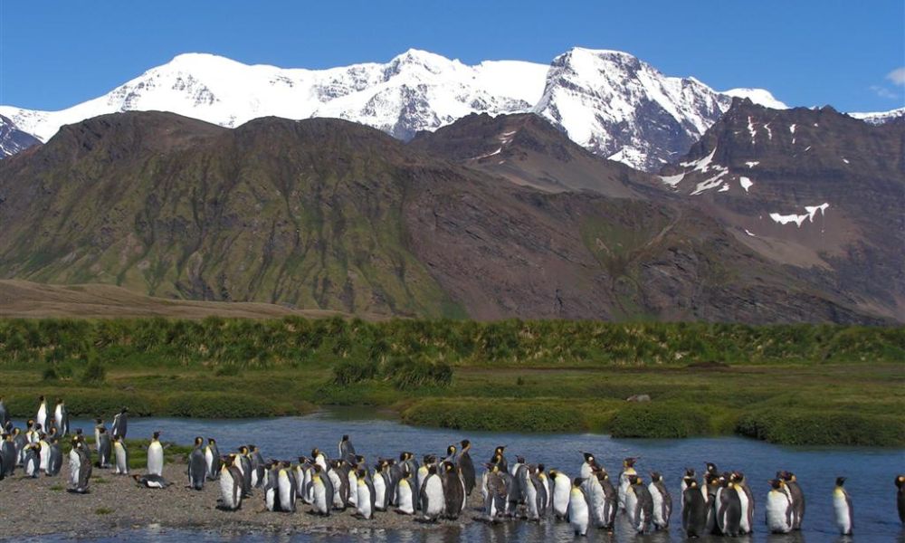 Aspecto del monte Paget, la montaña más alta de las Islas Georgias del Sur.
