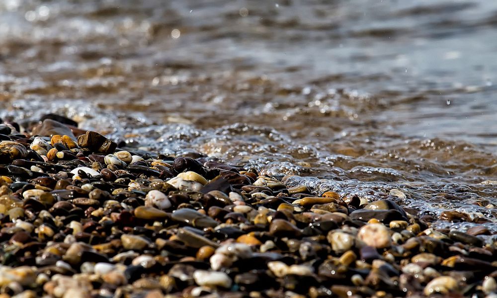 Primera playa nudista en Argentina