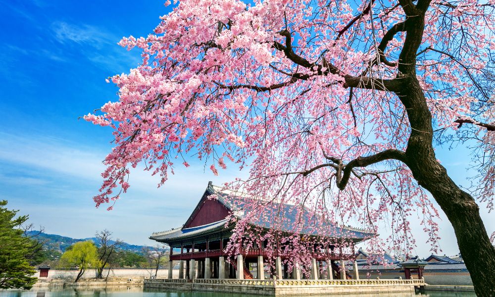 Palacio Gyeongbokgung, Corea del Sur