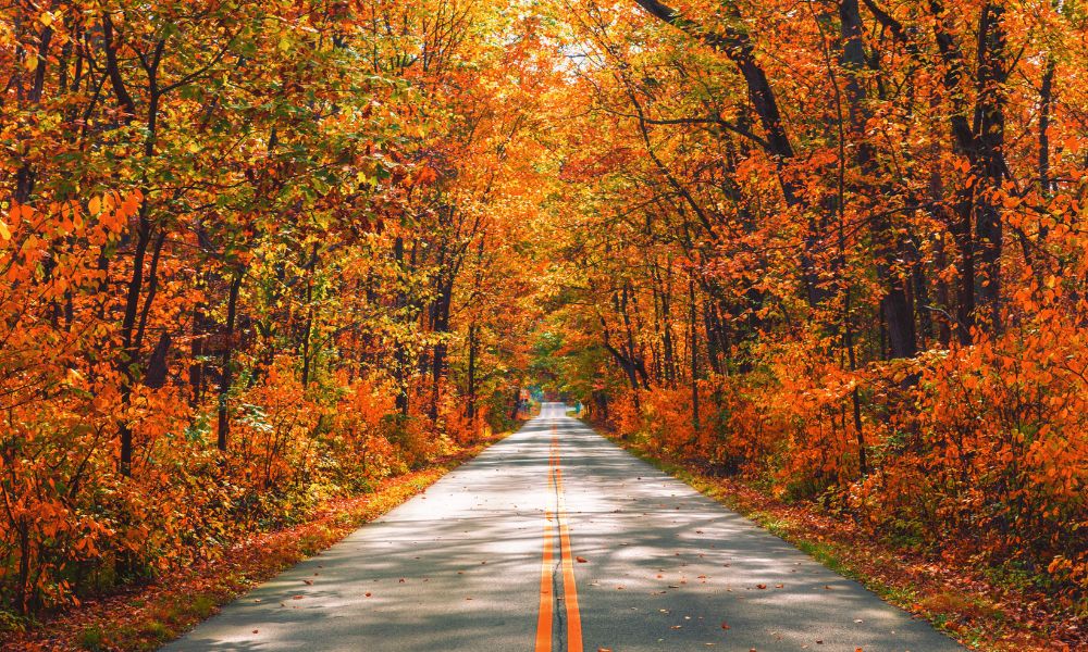 Otoño en Argentina