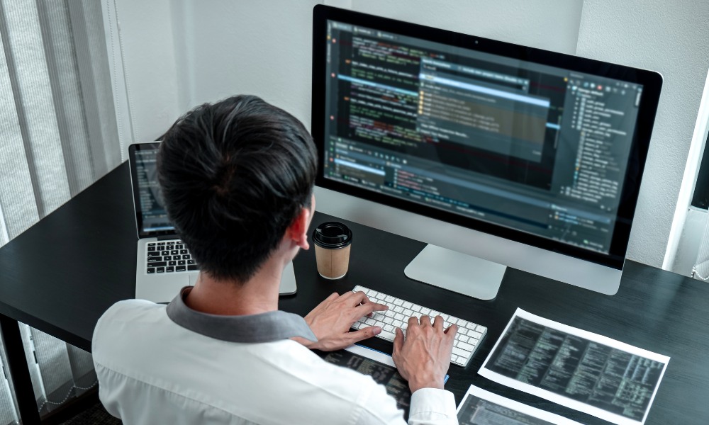 software y hardware definición y ejemplos