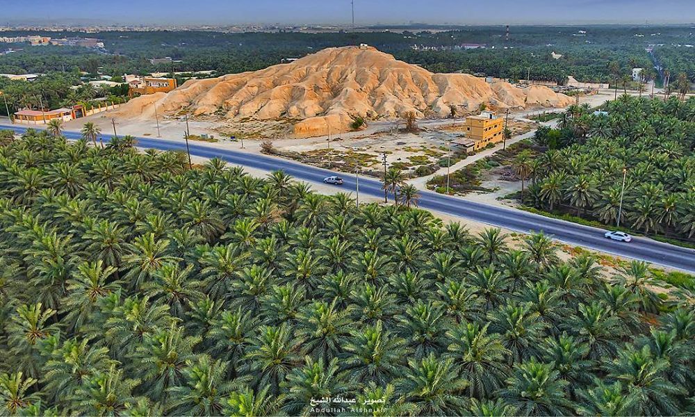 Aspecto del oasis más grande del mundo.
