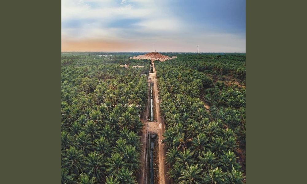 Ruta en el oasis más grande del mundo.