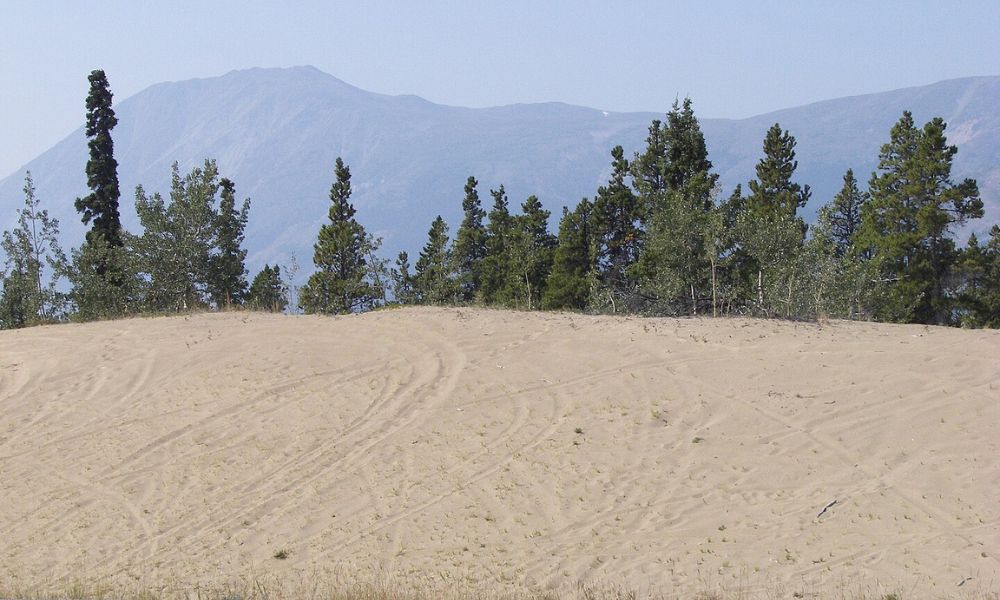 Aspecto del desierto más pequeño del mundo.