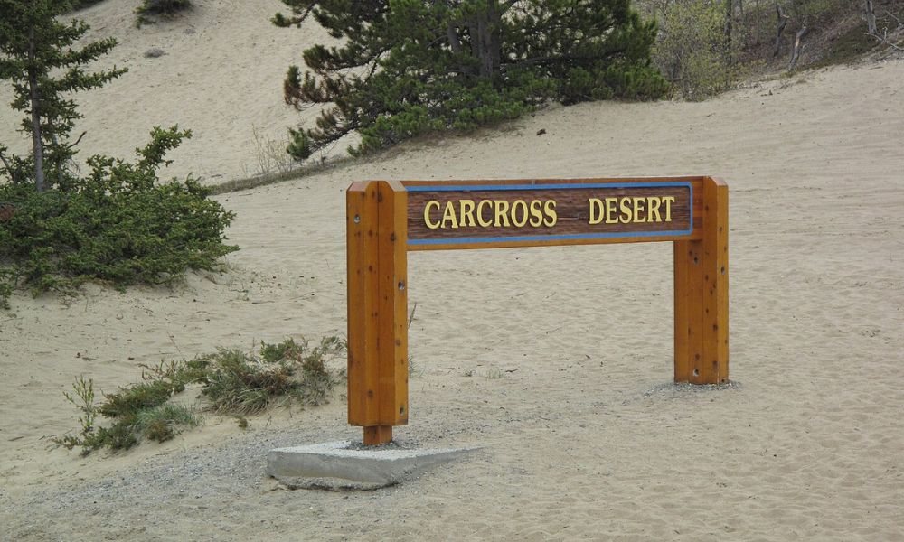 Cartel de ingreso al desierto más pequeño del mundo.