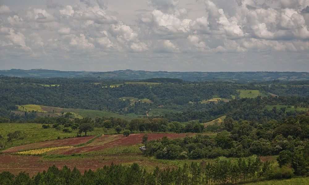 Paisajes de El Soberbio.
