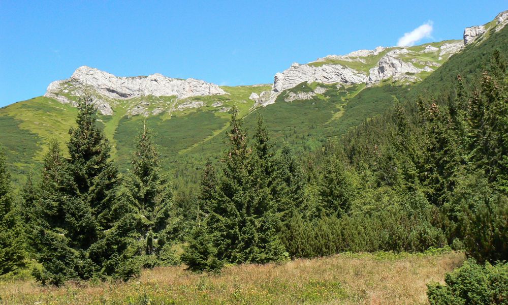 Paisajes de Alto Tatra.