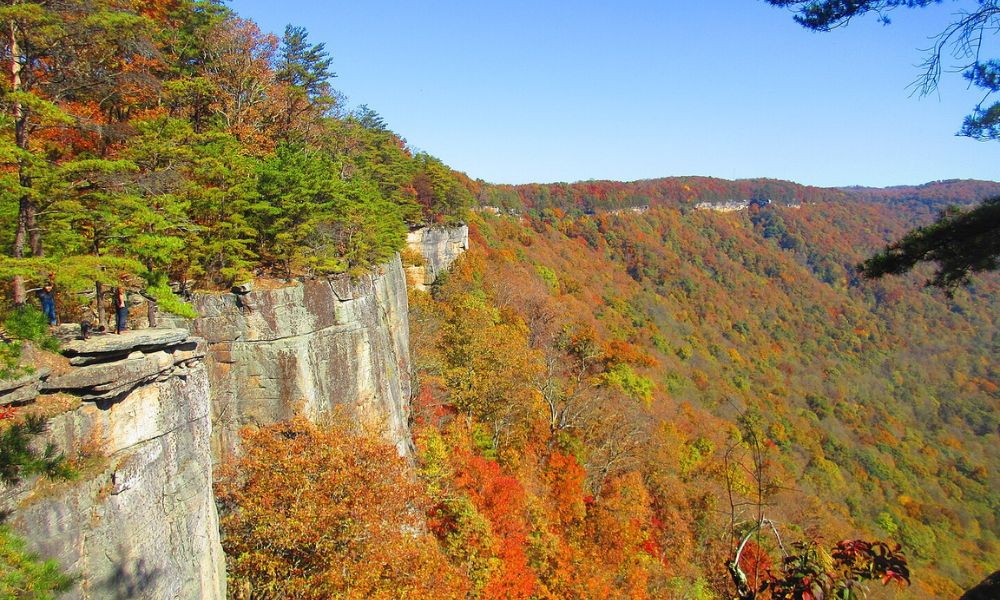 Colores de las plantas del parque nacional más nuevo de Estados Unidos.