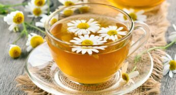 Día del Té: ¿qué es y por qué se celebra cada 21 de mayo?