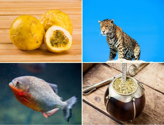 Diez palabras en español que derivan del guaraní