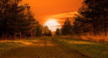 ¿Por qué los atardeceres son naranjas?