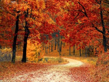 Otoño en Argentina