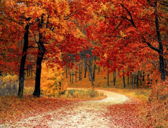 ¿Cuál fue el otoño más frío de Argentina?