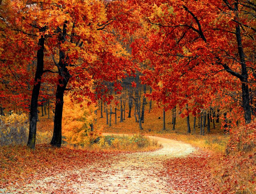Otoño en Argentina