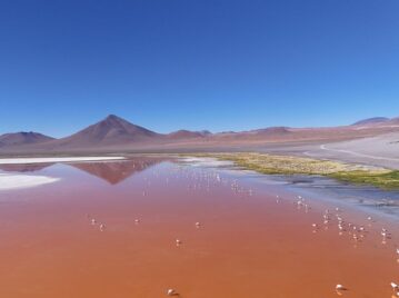 sitio-ramsar