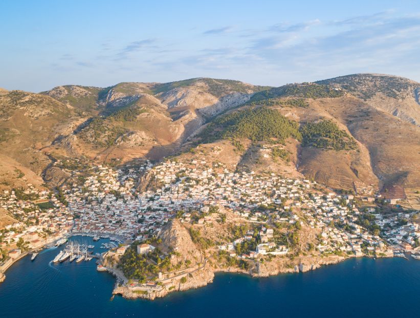 hydra