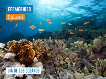 8 DE JUNIO