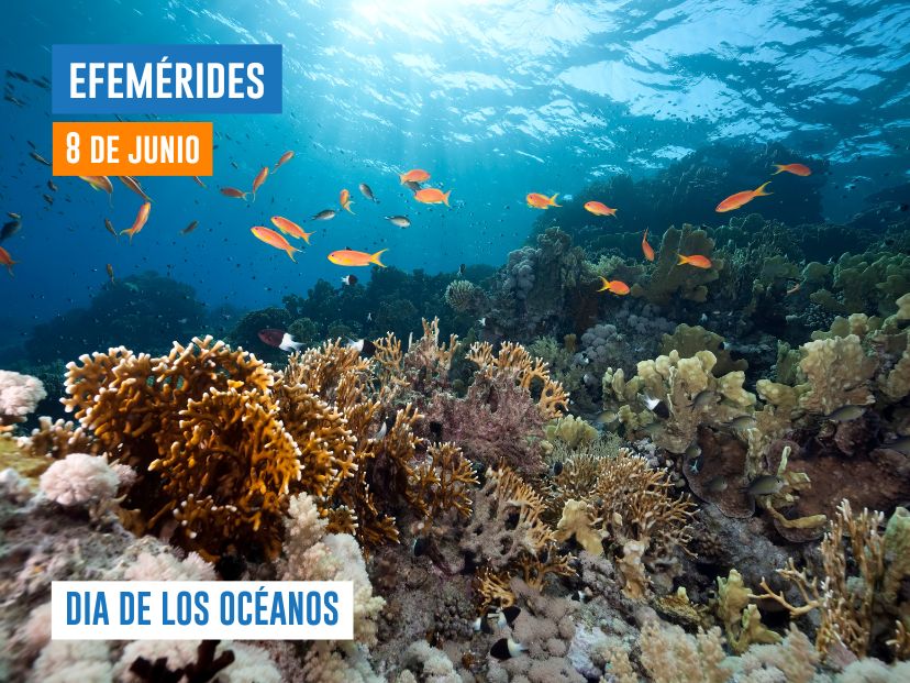 8 DE JUNIO