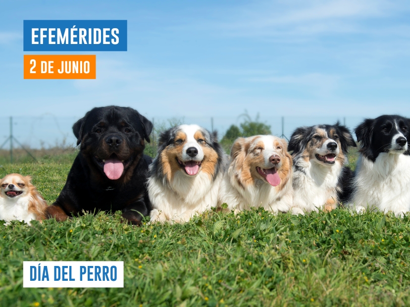2 de junio