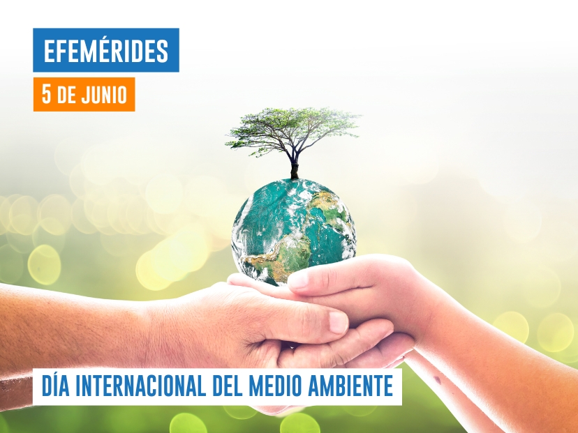 5 de junio