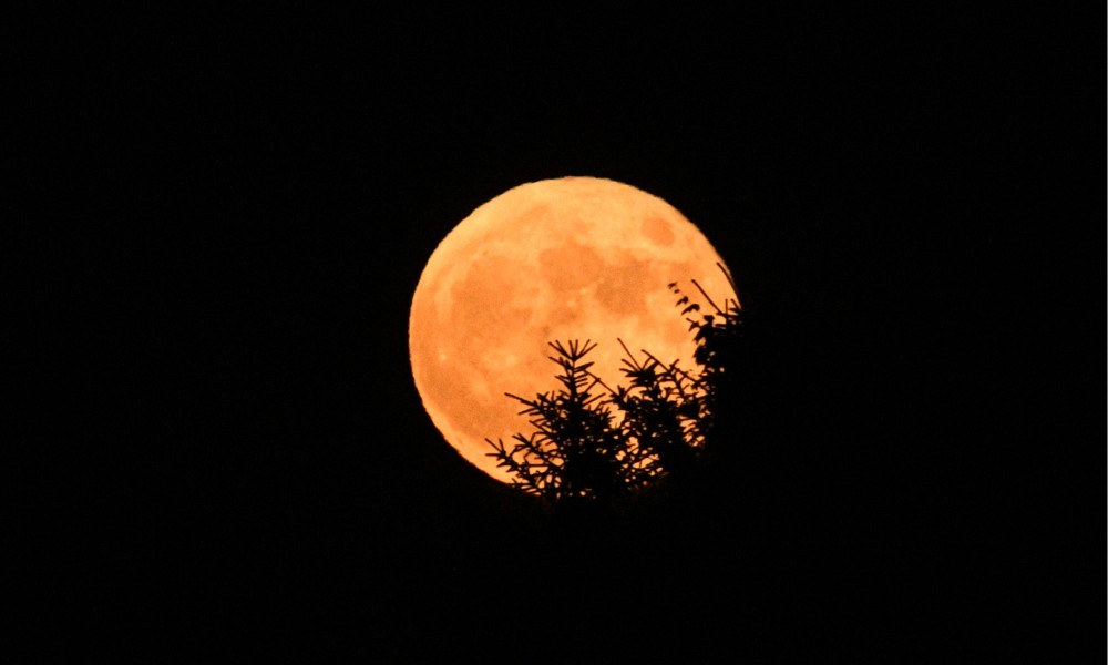 luna de fresa junio 2025
