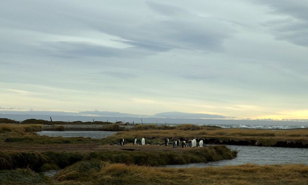 Naturaleza de la Bahía Inútil.