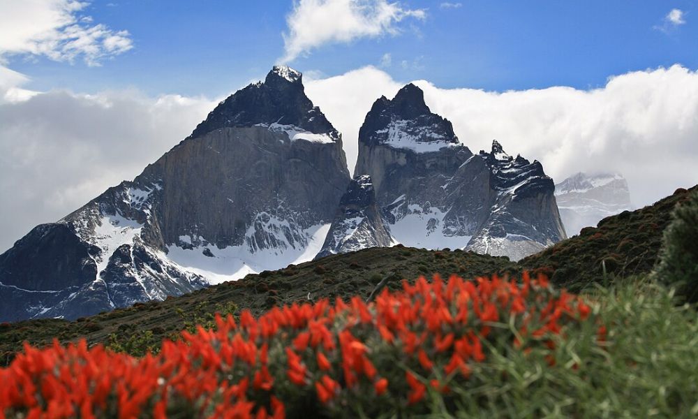 Paisajes del Parque nacional Torres del Paine.