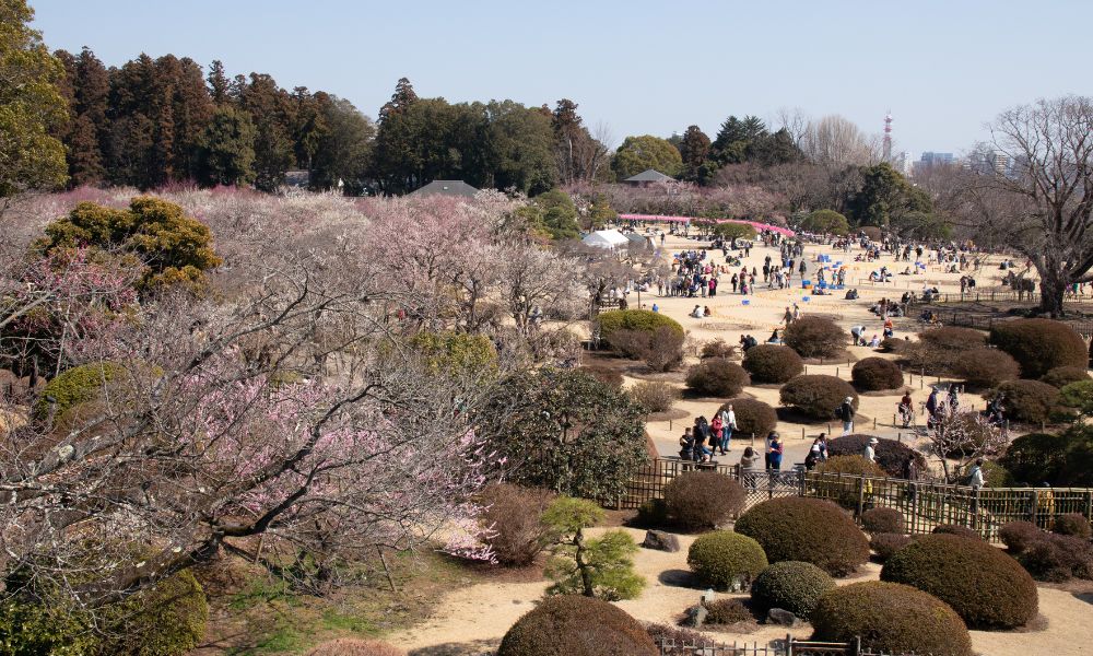 El parque repleto de turistas.