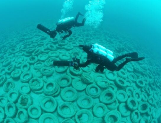 Osborne: el arrecife artificial que se construyó con ruedas viejas y causó un desastre ambiental