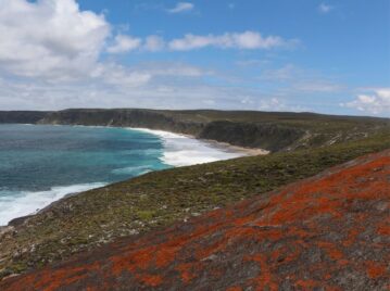 isla-canguro