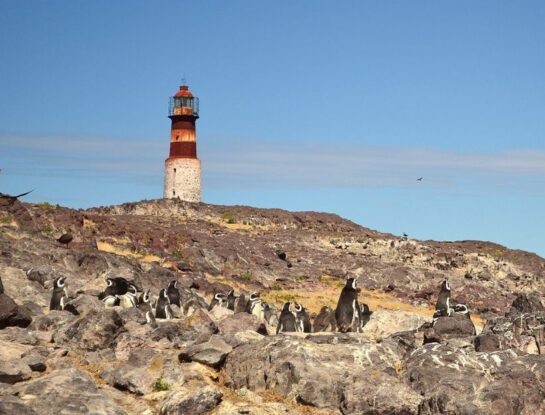 Faro Isla Pingüino: ¿en qué parte de Argentina se encuentra este antiguo faro?