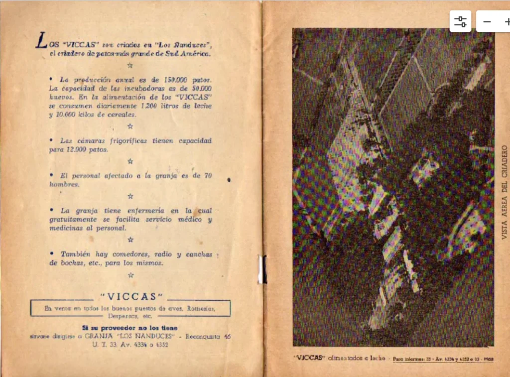 ¿Por qué se le dice “patovica” a los musculosos y cuál es el origen de esa palabra? Victor Casterán