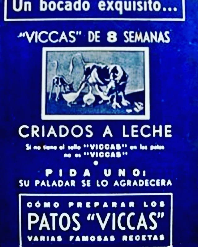 ¿Por qué se le dice “patovica” a los musculosos y cuál es el origen de esa palabra? Victor Casterán