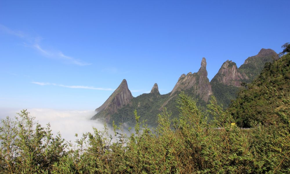 Naturaleza del parque nacional Serra dos Órgãos.