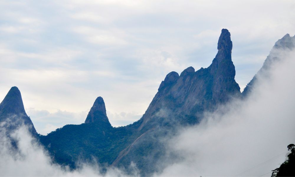 Niebla en el parque nacional Serra dos Órgãos.