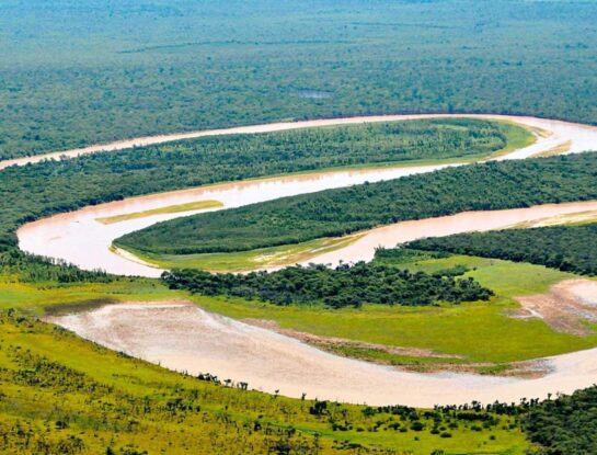 Parque Nacional El Impenetrable: el llamativo nombre de un área protegida de Argentina